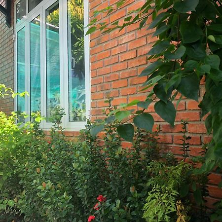 Q'Tropical Garden Homestay フエ エクステリア 写真